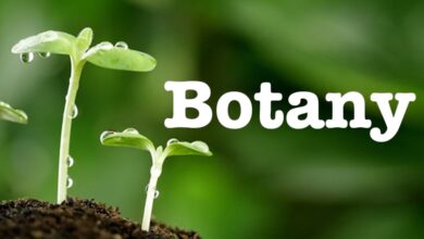 Ru58841 Botany.bio