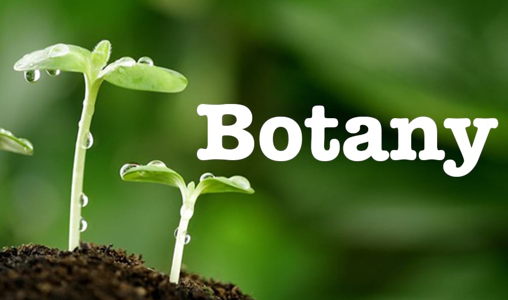 Ru58841 Botany.bio