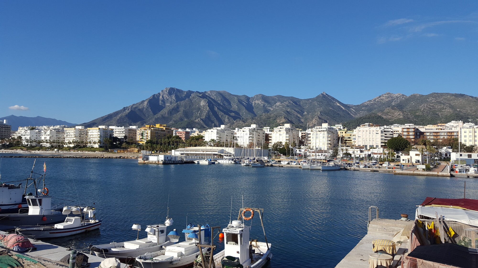 5 Things To Do in Marbella, Spain